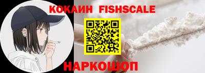 индика Кингисепп