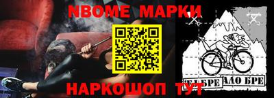индика Кингисепп