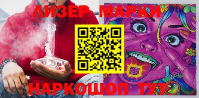 индика Кингисепп