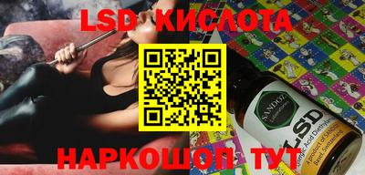индика Кингисепп
