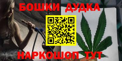 индика Кингисепп