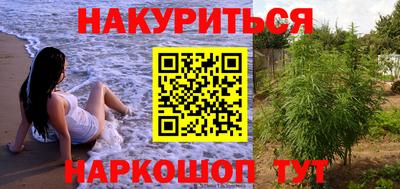 индика Кингисепп