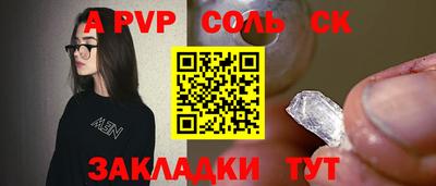 индика Кингисепп