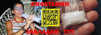 индика Кингисепп
